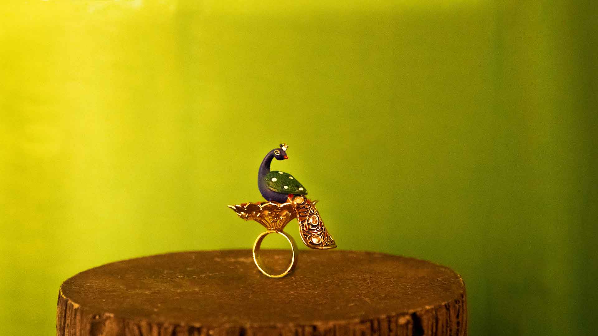 3 Home _ Ring banner image
